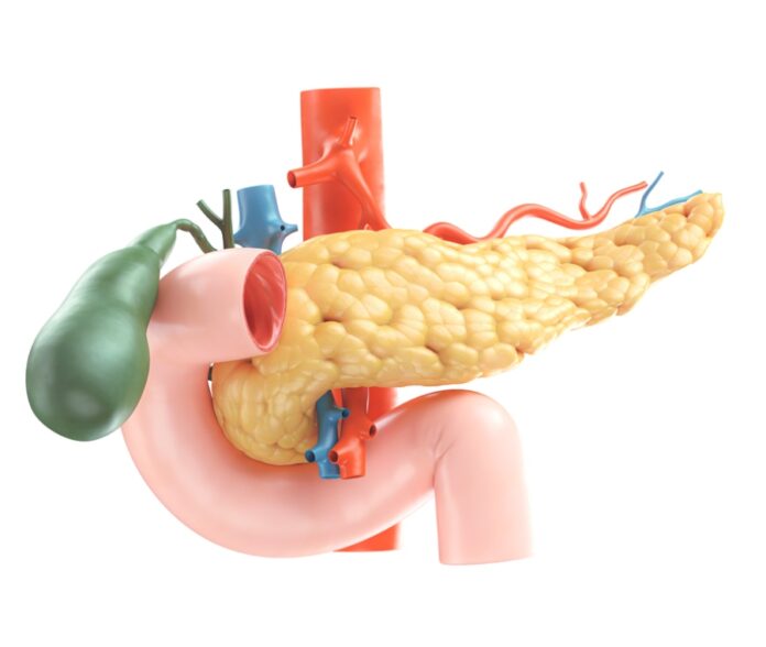 pancreas-orig