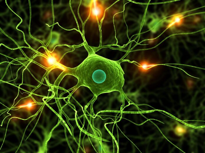 parkinson